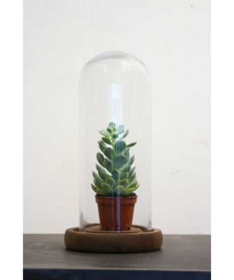 09-CB531036 glass dome S/plain BS