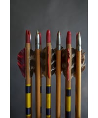 09-MT344372 Arrow wood set of 12 w/box