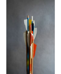 09-MT344374 Arrow wood set of 7
