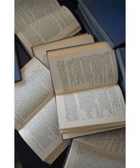 09-GO224084-1  encyclopedia 19thc - THE YALE SHAKESPEARE .