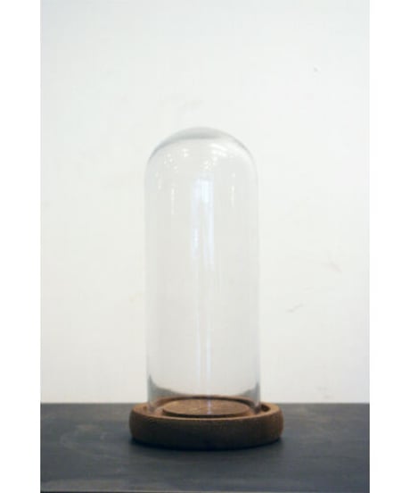 09-CB531036 glass dome S/plain BS