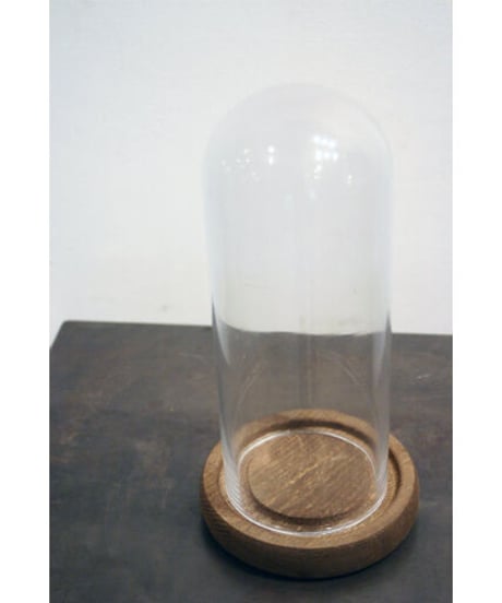 09-CB531036 glass dome S/plain BS