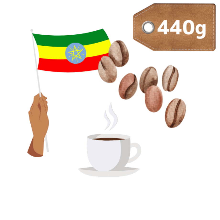 67bb1c38fd5b07858c4e102b