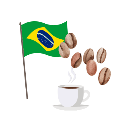 ブラジルショコラ　サントアントニオ 100g（中深煎り）