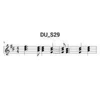 DU_S29