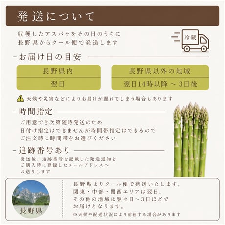 【夏限定】夏のごちそう｜伊那谷産グリーンアスパラ 800g｜朝採れ・送料込み