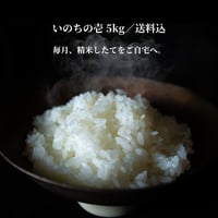 【一回お届け】《信州伊那谷の特別栽培米》いのちの壱 5kg｜低温籾保存・新鮮精米　送料込み