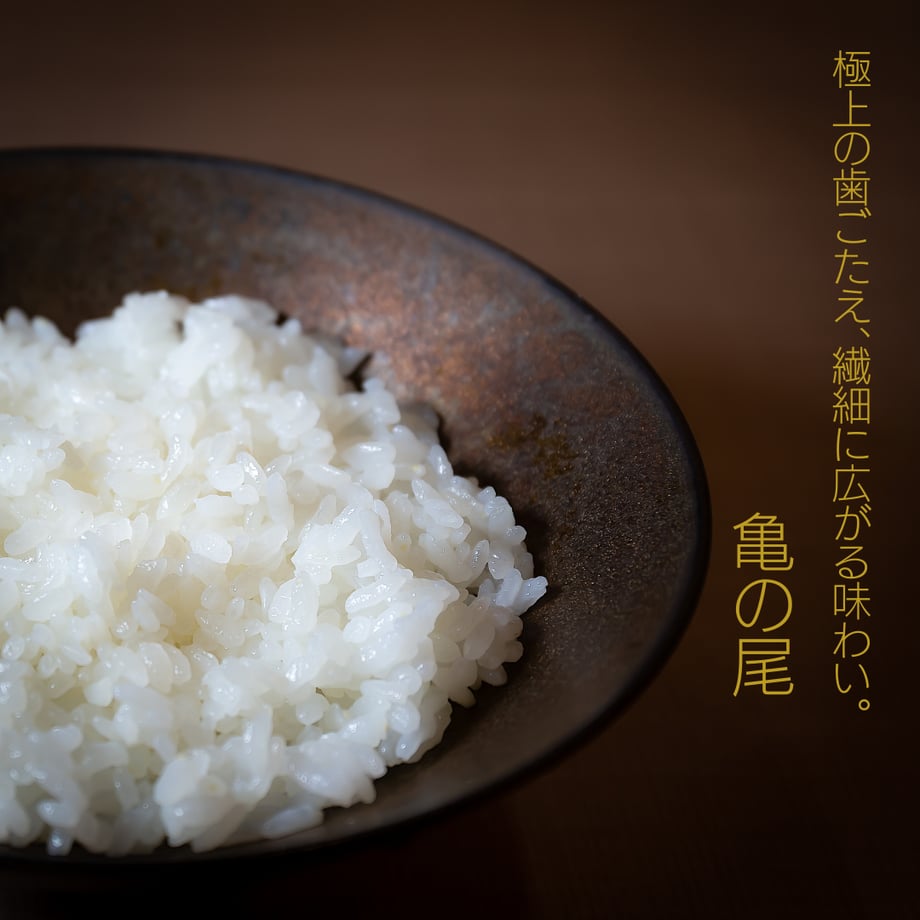 68c7e32665f6653ee05cddcb