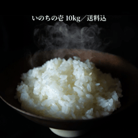 【一回お届け】《信州伊那谷の特別栽培米》いのちの壱 10kg｜低温籾保存・新鮮精米　送料込み
