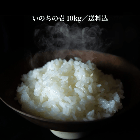 いのちの壱 | STORES