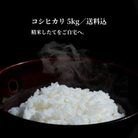 【一回お届け】信州伊那谷直送｜特別栽培米コシヒカリ 5kg、送料込み