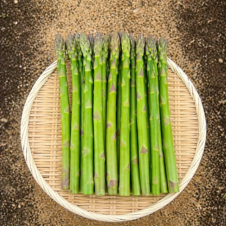 【夏限定】夏のごちそう｜伊那谷産グリーンアスパラ 800g｜朝採れ・送料込み