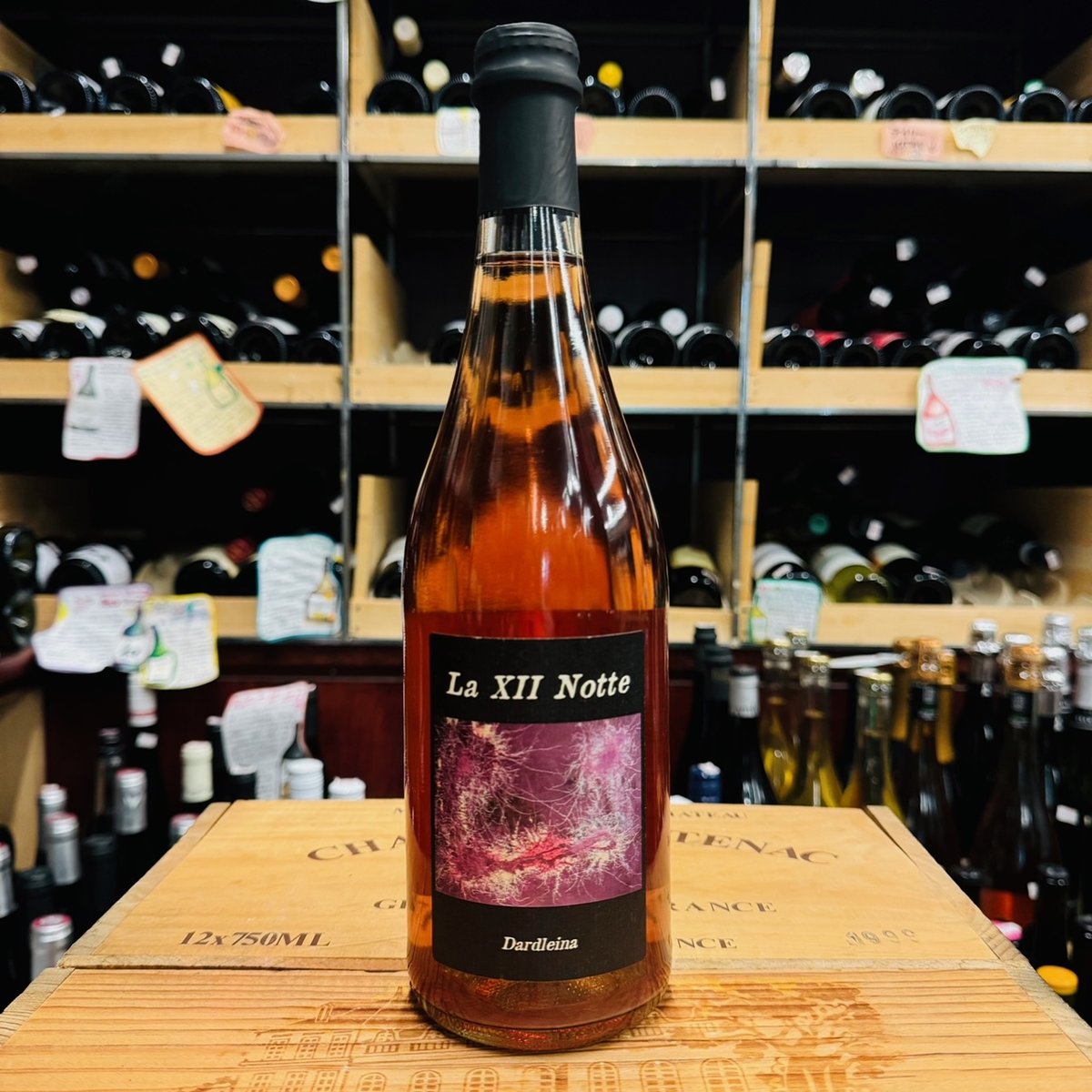 マリア・ボルトロッティ ／ ダルドゥレイナ 2022 | 恵比寿屋商店