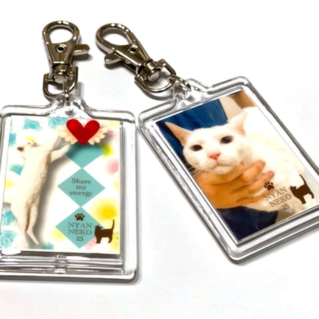 にゃんねこ25工房