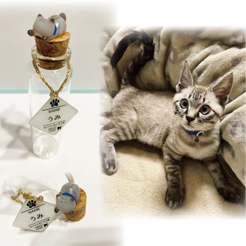 猫ちゃんオーダー】にゃんねこ25工房オリジナル猫ヒゲ瓶 | にゃんねこ