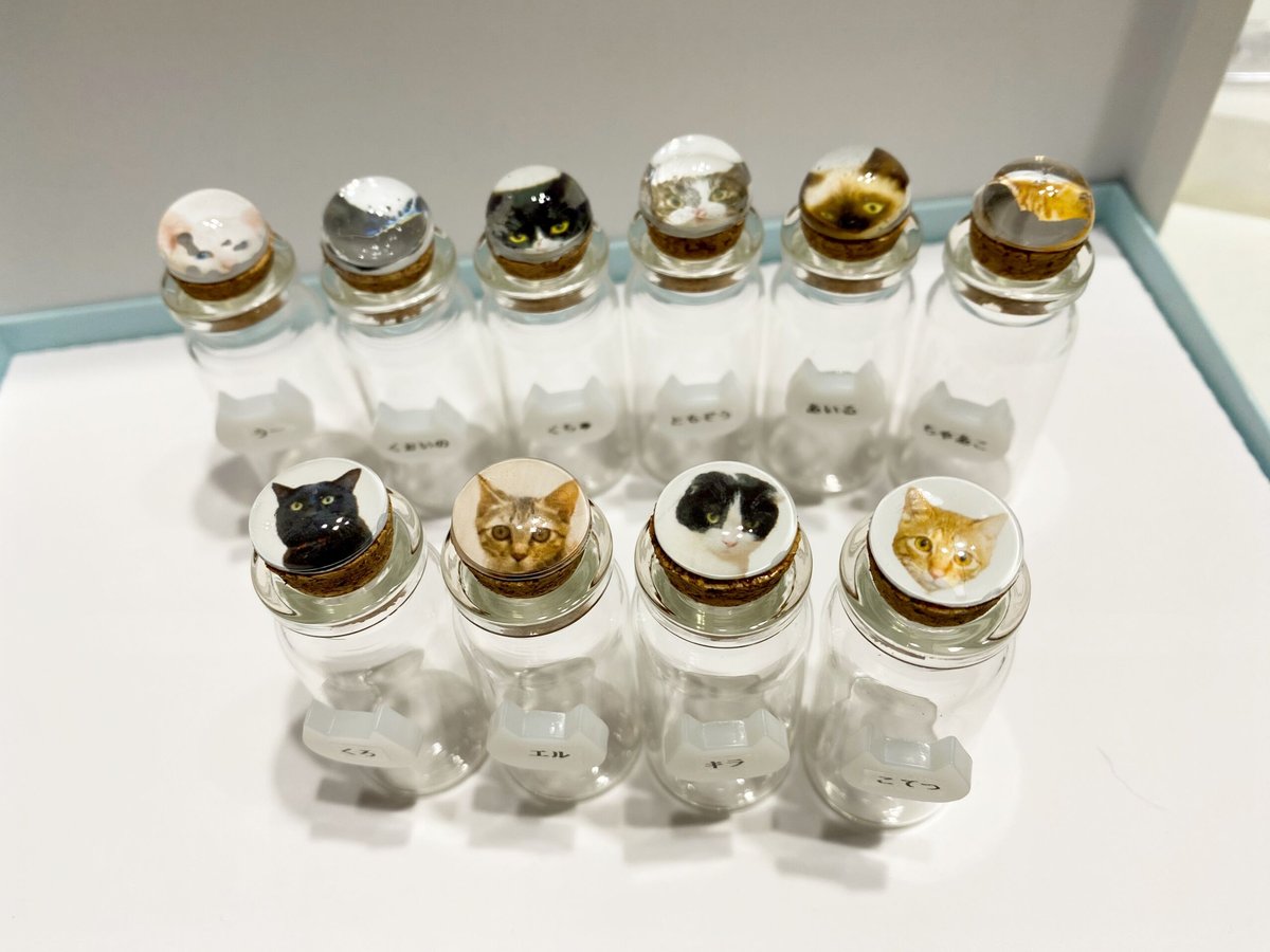 希少サイズの猫瓶 fit=scale-down,w=1200