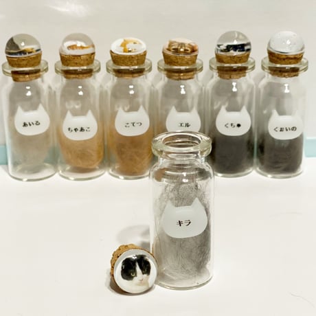 にゃんねこ25工房