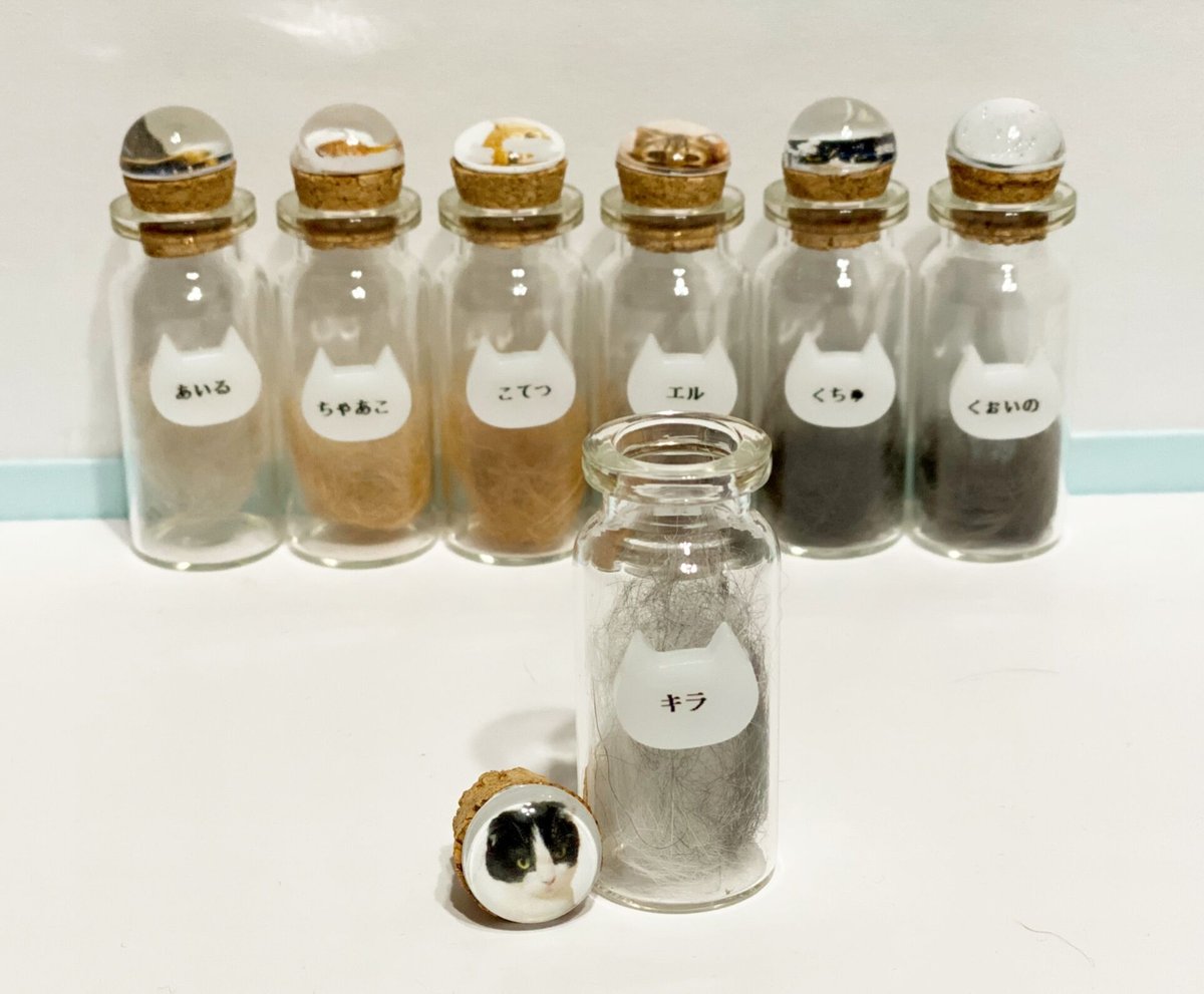 オリジナル猫毛瓶 | にゃんねこ25工房
