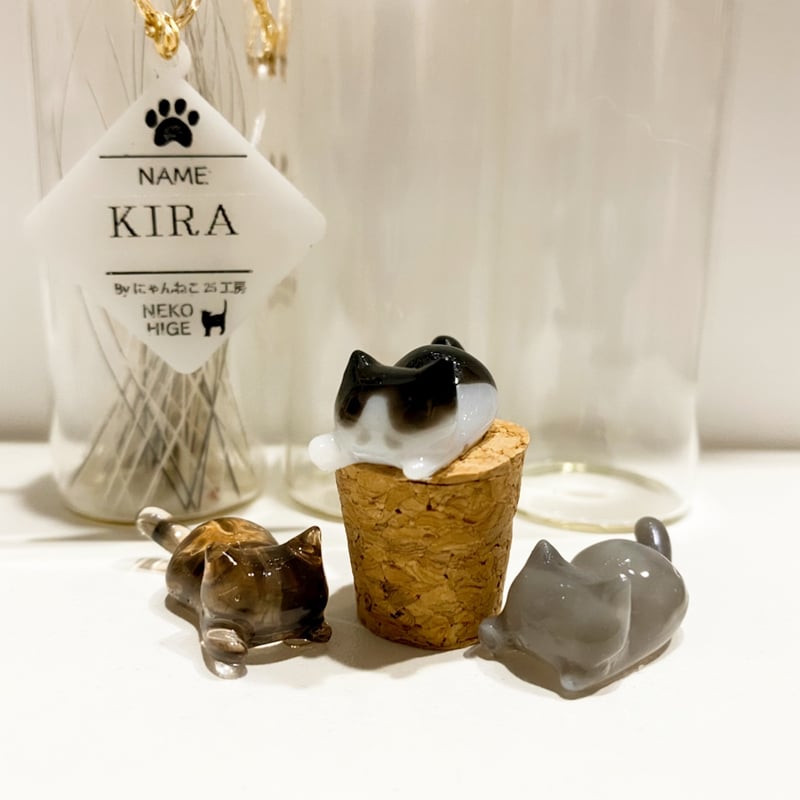 ハンドメイド　オーダー受付ページ　　♡瓶入りねこちゃん　パネル♡ ねこちゃん わんちゃん パネル 里親募集中 ハンドメイド