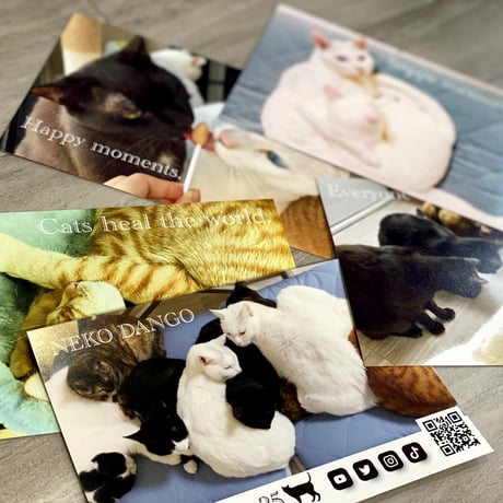 にゃんねこ25工房
