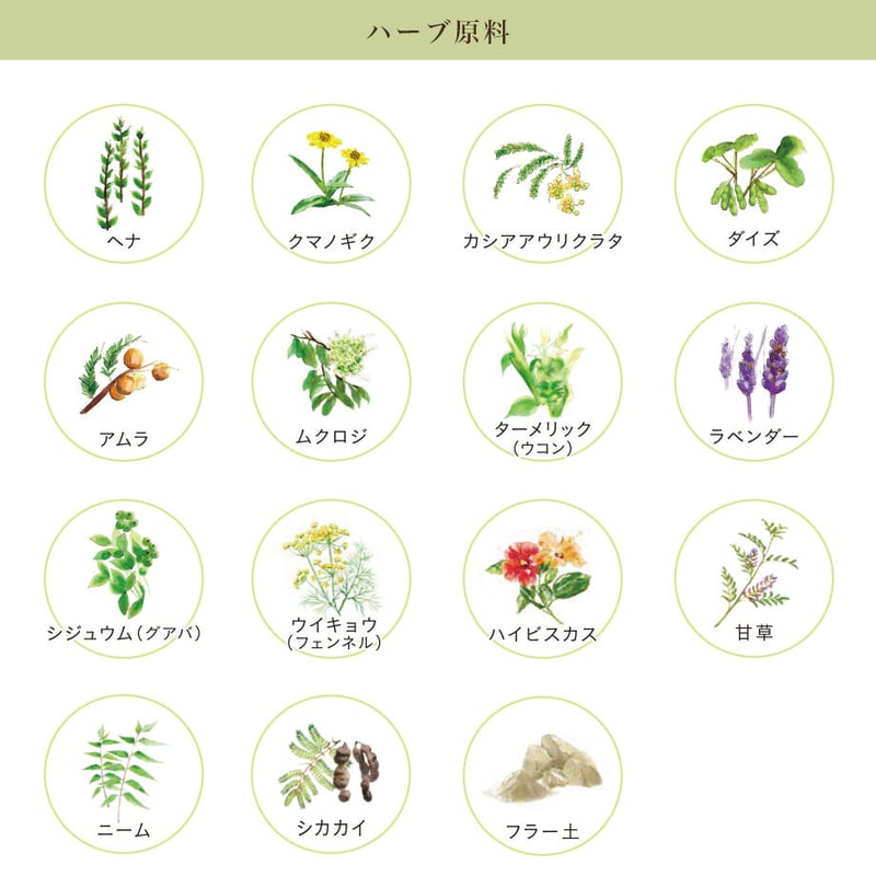 木木と 彩：透明 | mokumokuto STORE