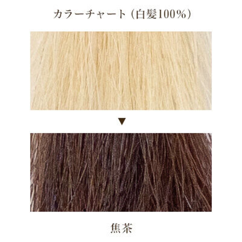 木木と 焦茶 | mokumokuto STORE 木木と 焦茶 | mokumokuto STORE