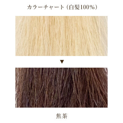 木木と　焦茶　ヘナ 木木と 焦茶 | mokumokuto STORE