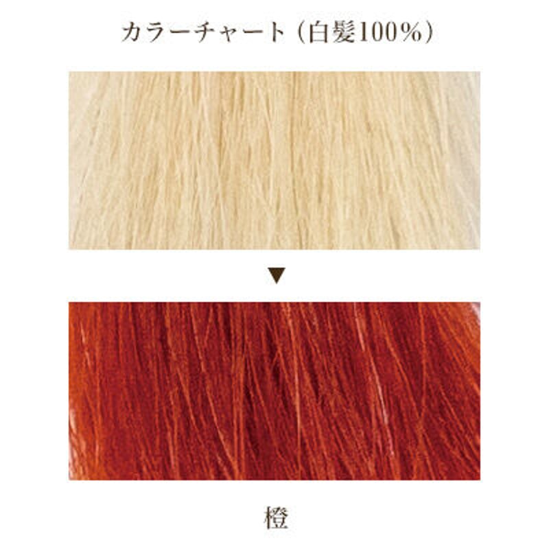 木木と 彩:橙 | mokumokuto STORE 木木と 彩:橙 | mokumokuto STORE