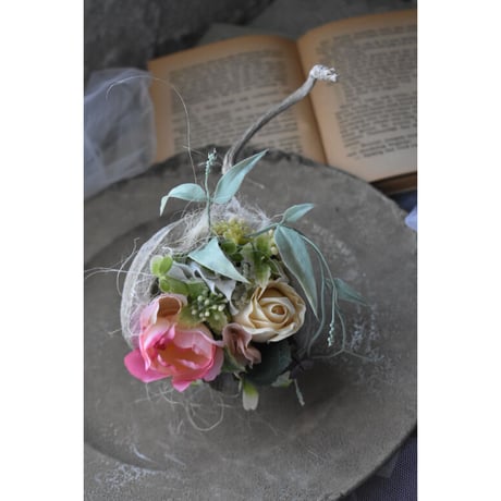 ブッタナッツ | STORES