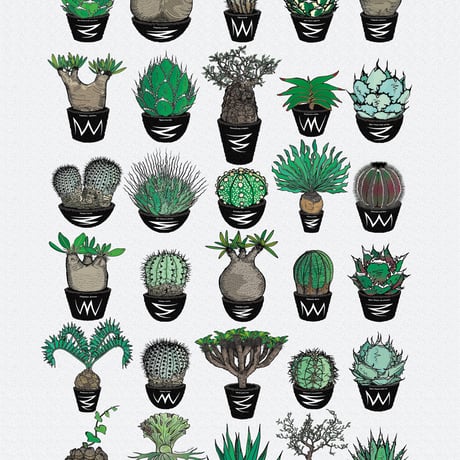 CATEGORY GREEN PRICKLE【ポスター】 | ファーニーズ商店