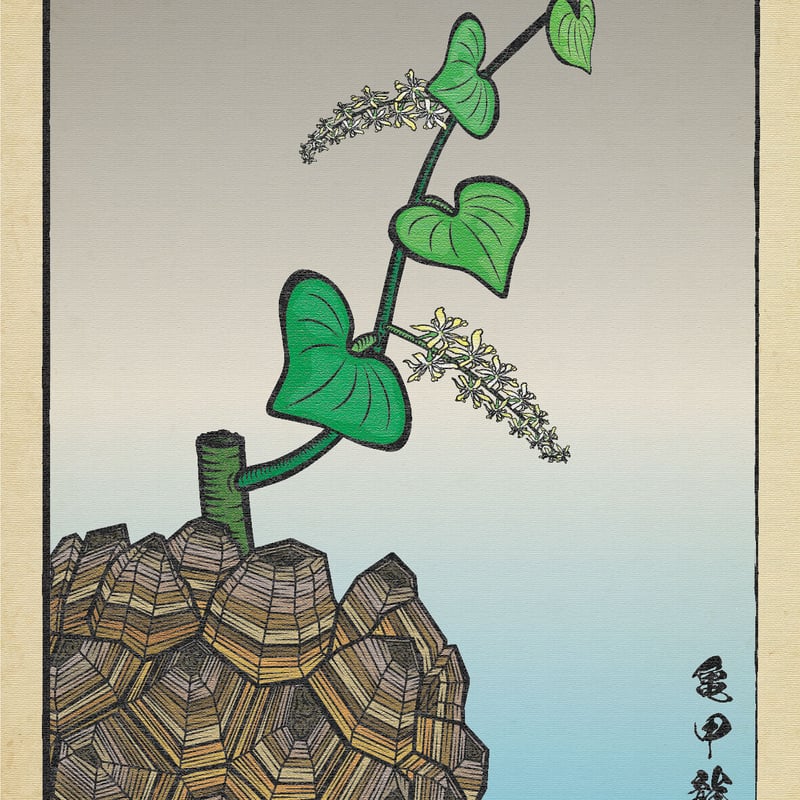 亀甲龍】浮世絵風 | ファーニーズ商店