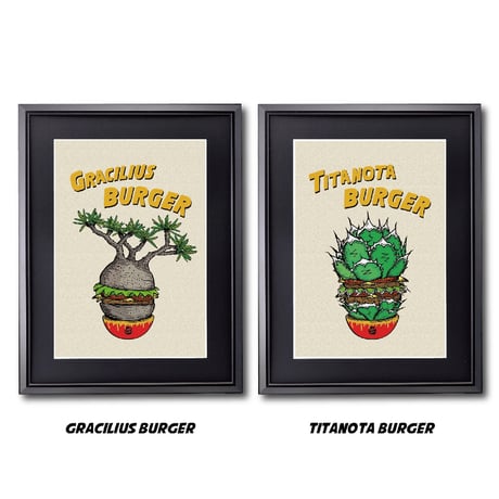 グラキリス　ダブルヘッド　ピーナッツ型　コレクション　選抜　シンメトリー グラキリス ダブルヘッド ピーナッツ型 コレクション 選抜