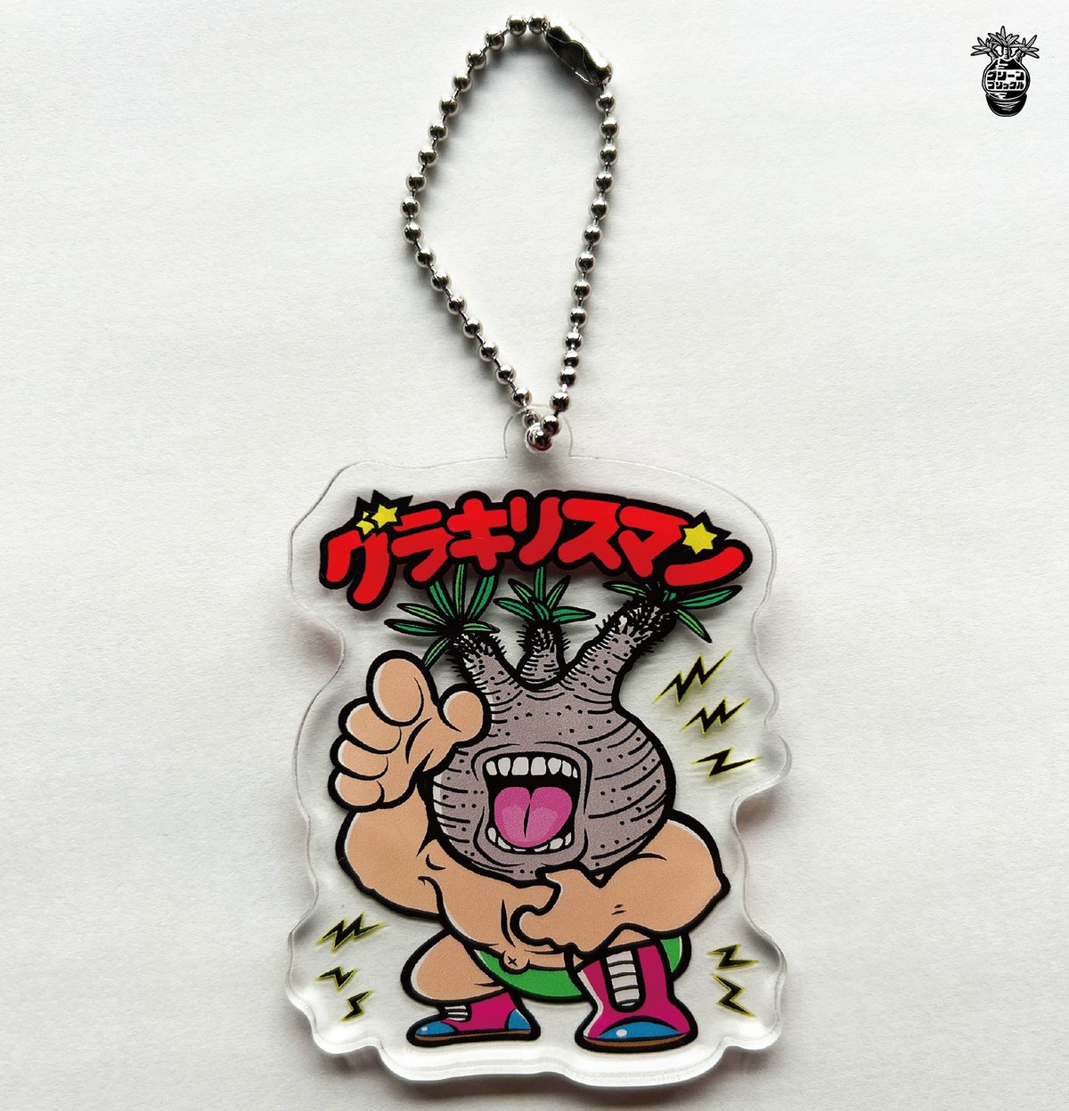 ちんのすけ　グラキリス fit=scale-down,w=1200