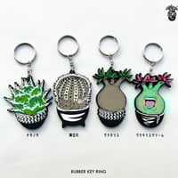 ファーニーズ商店