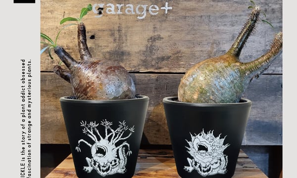 ファーニーズ商店