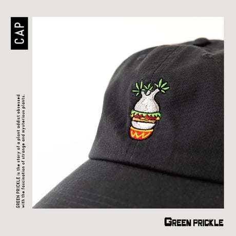 ジュン　フォークイエリア isla del pescado - Fouquieria fasciculata-フォークイエリア