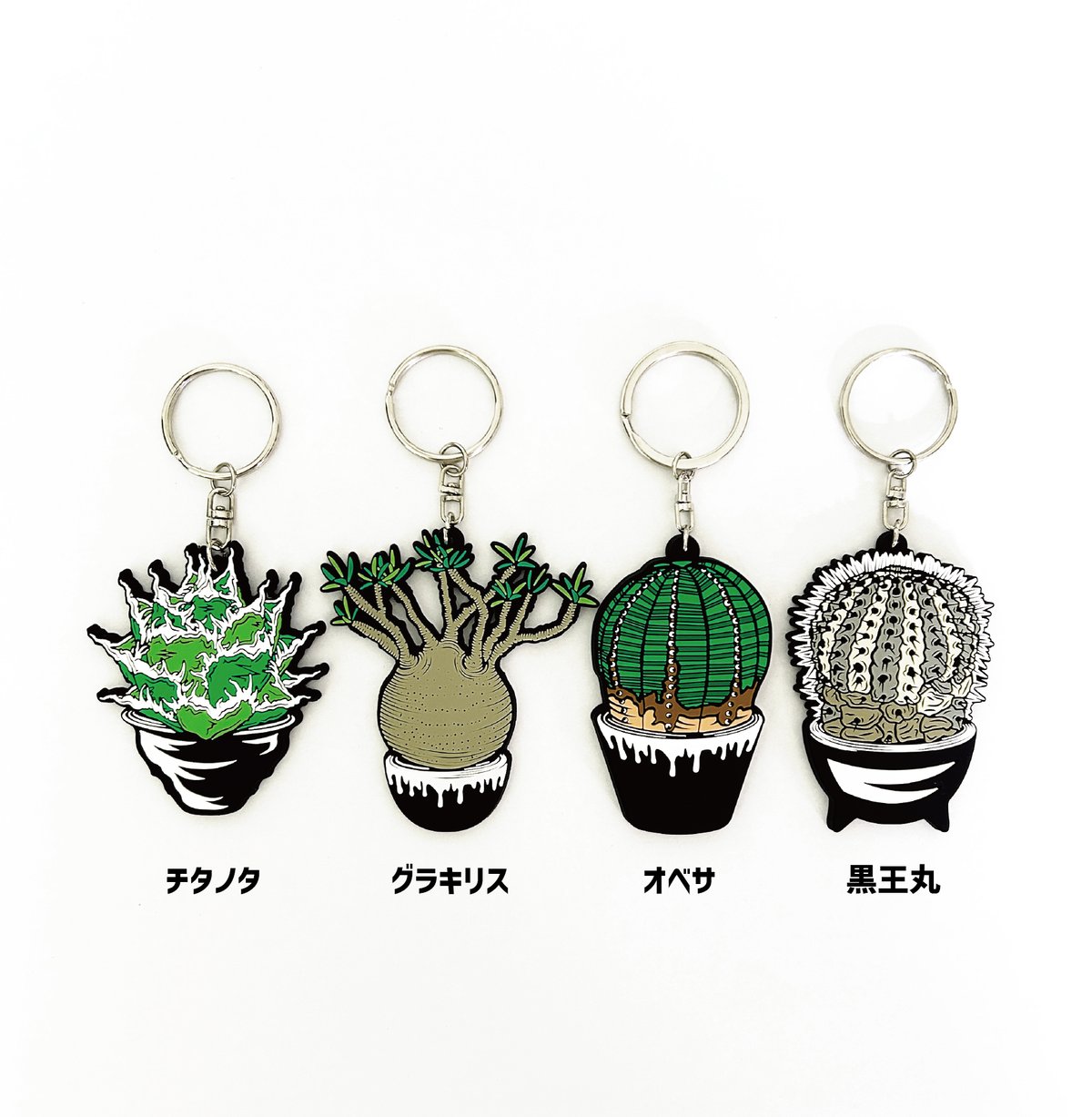 塊根植物 キーホルダー　グラキリス　シルバー925 グラ丸 ラバーキーホルダー【4種】 | ファーニーズ商店