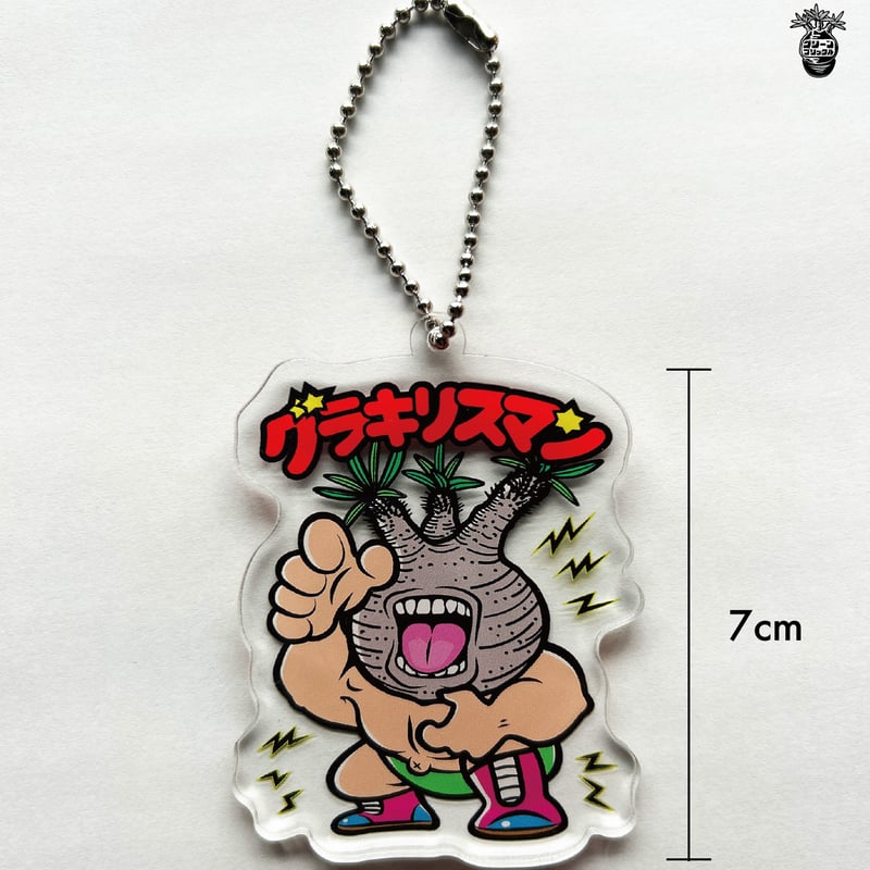 塊根植物 キーホルダー グラキリス シルバー925 グラ丸 塊根植物