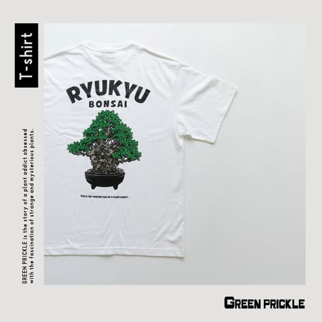 オオハマボウ | STORES