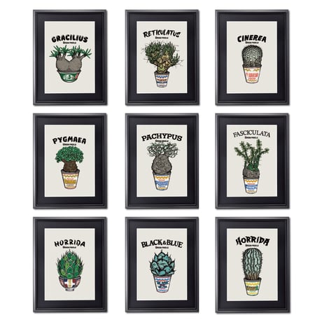 CATEGORY GREEN PRICKLE【フレーム付きイラスト】 | ファーニーズ商店