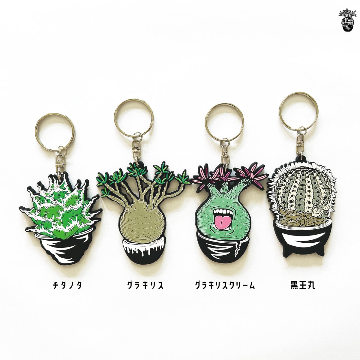 塊根植物 キーホルダー　グラキリス　シルバー925 Bel Cielo シルバー925製 グラキリスチャーム | RYANS