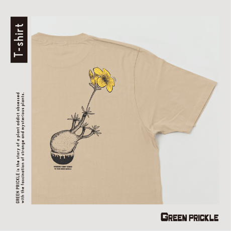 ムルチフィダ | STORES