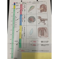 地質年代表づくり