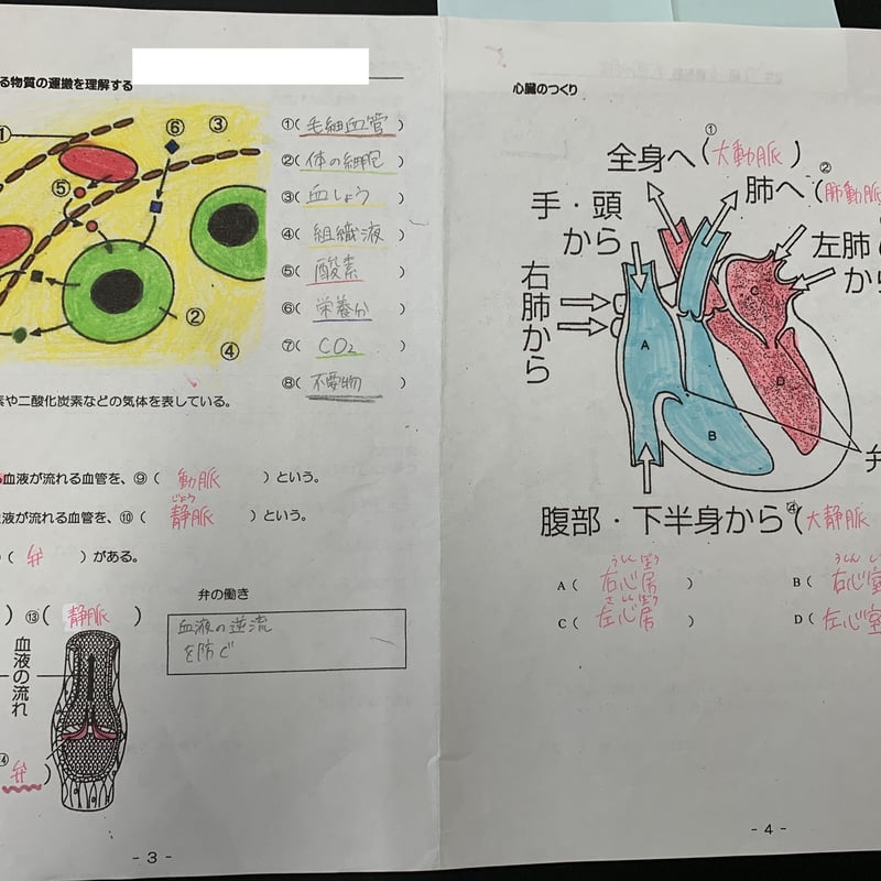呼吸のしくみとその管理 呼吸のしくみ Part2 | からだずかん