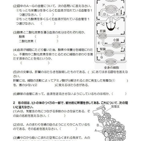 循環のしくみとその働き