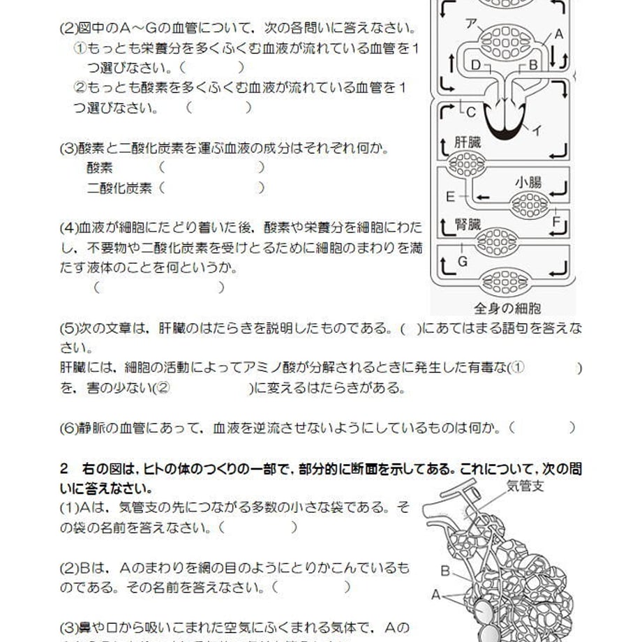 61484fdf784e3f3ea61a30ed