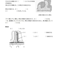 吸収のしくみ