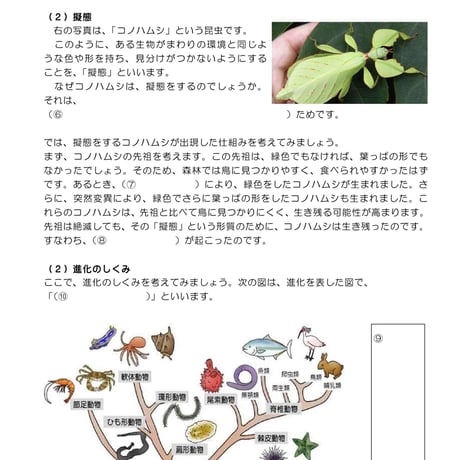 進化のしくみ