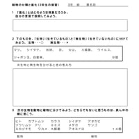 動物の分類3年用（2年生の復習）