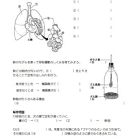 呼吸のしくみとそのはたらき